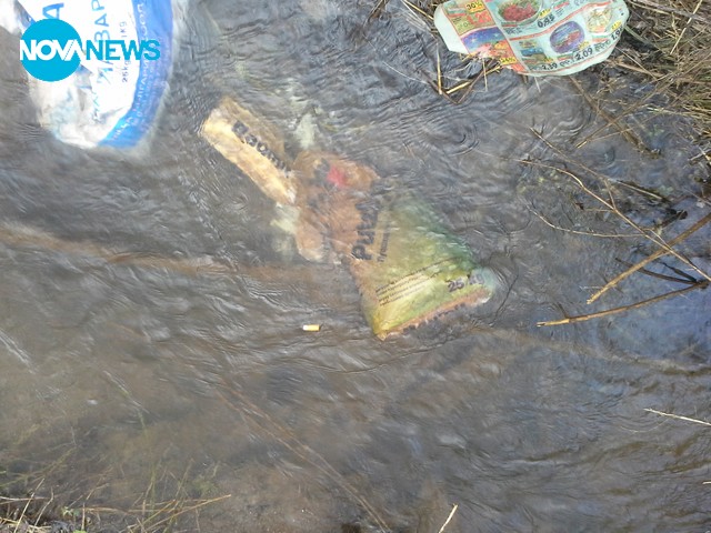 Те са наша гордост!