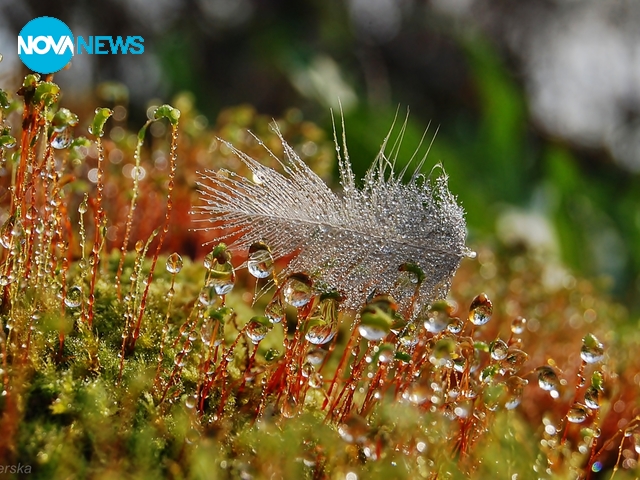 В света на малките неща 2