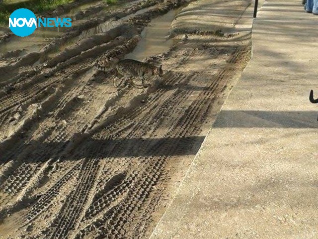 Детска кухня във Варна