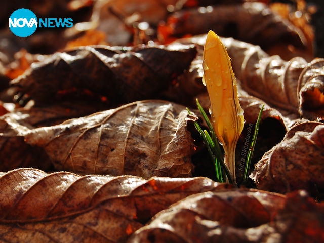За прогнозата на времето