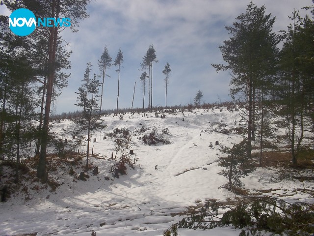 Унищожението на горите в България