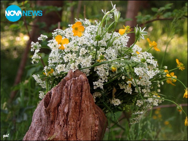 Пролетен букет