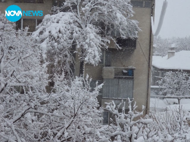 Снежна и зимна...