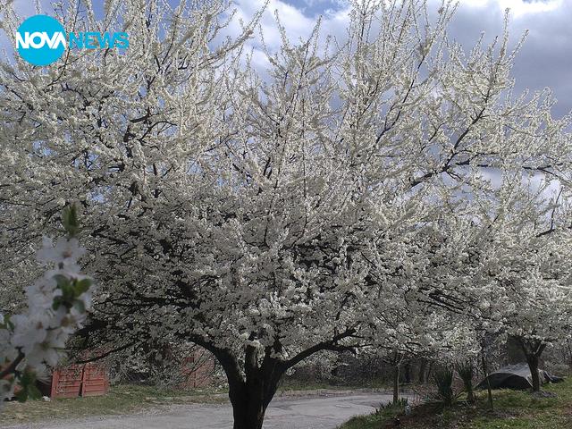 Kрасота от Габрово