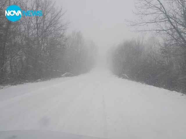 Пътят Монтана-Вършец