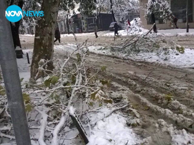 Зимата отново ни изненада