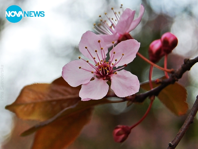 Пролетно настроение за всички