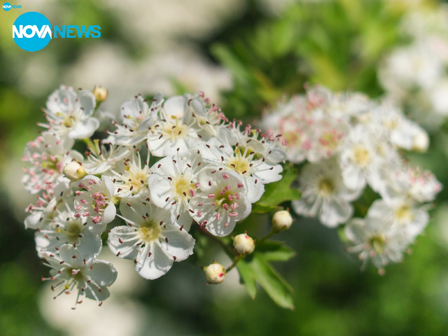 Времето във Варна