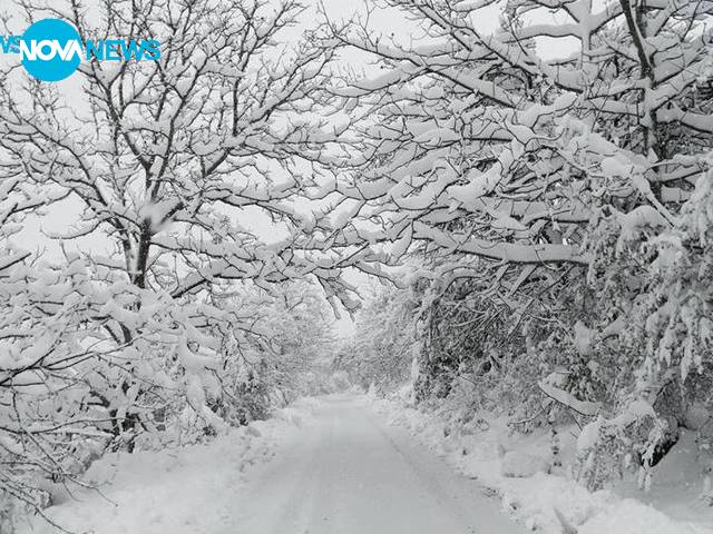Снежни мартенски снимки от Родопите