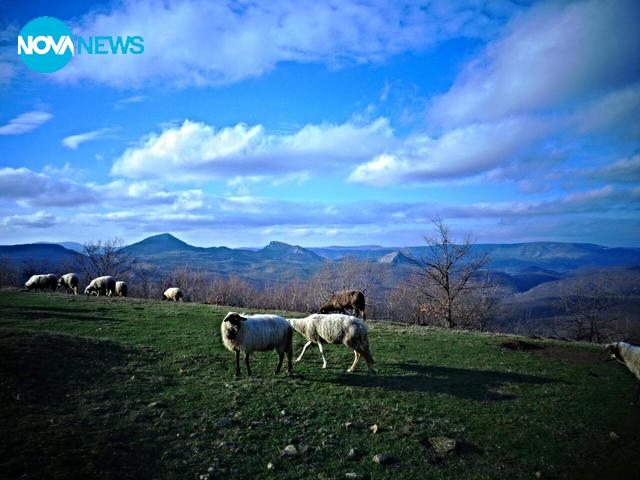 Живот на село