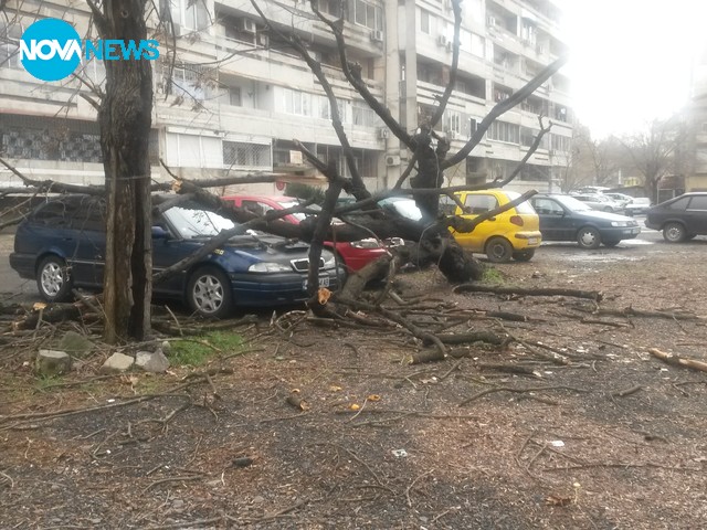 Тежко беше положението след бурния вятър в Бургас