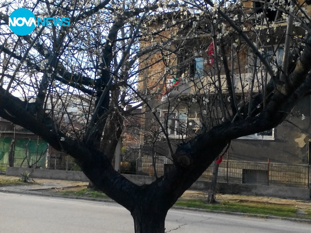 Пролетта идва