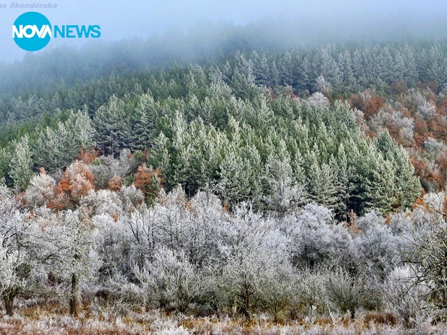 Зимна картина