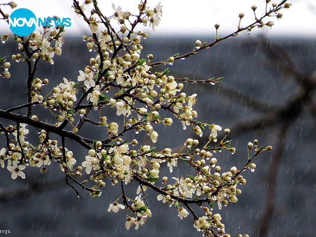 Дъждовен, пролетен ден