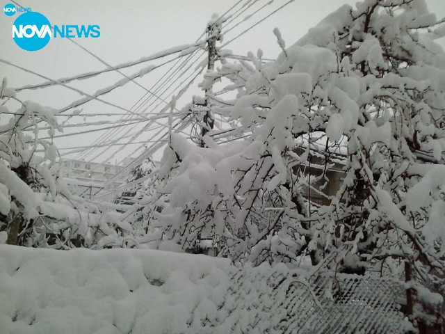 Бяла приказка в Монтана