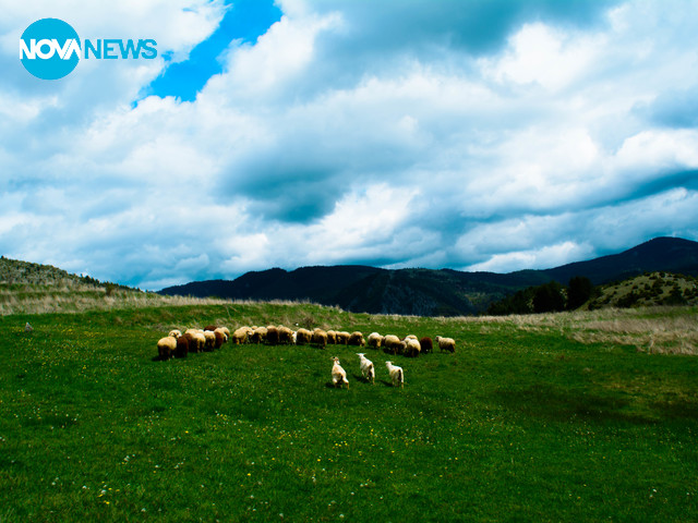 Красотата на Родопите