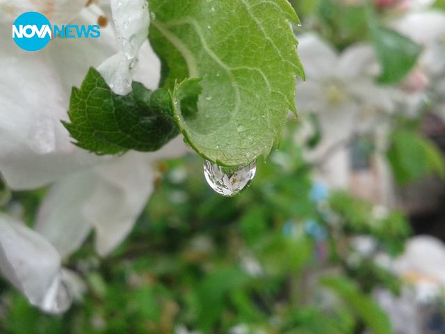 Снимка за прогнозата за времето