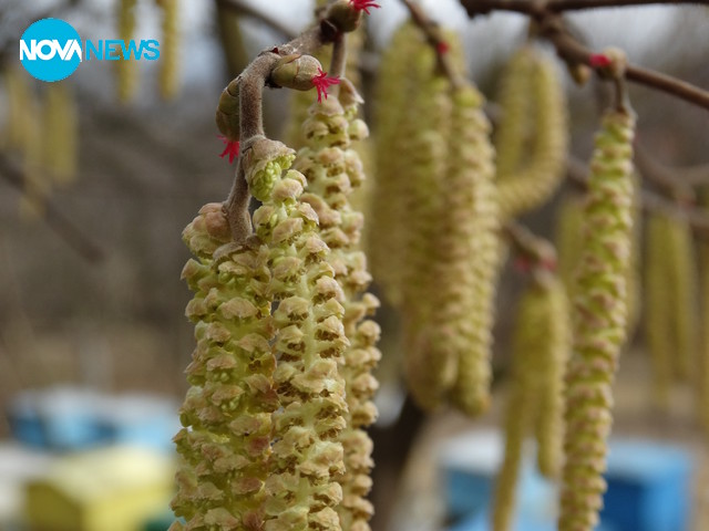 Пролетта настъпва въпреки снега
