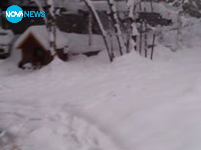 Зимна приказка