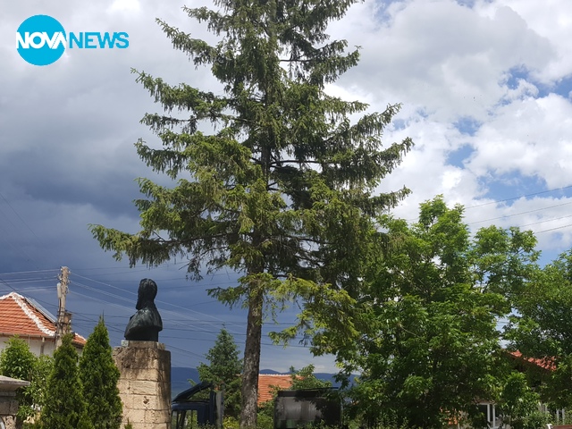 Касота от село Паволче