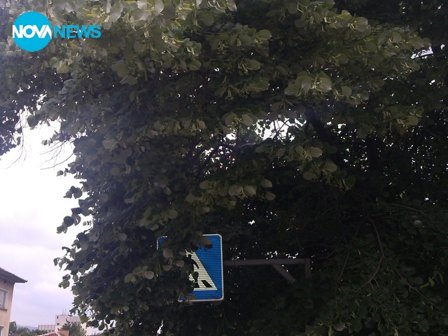 Скрит знак за пешеходна пътека