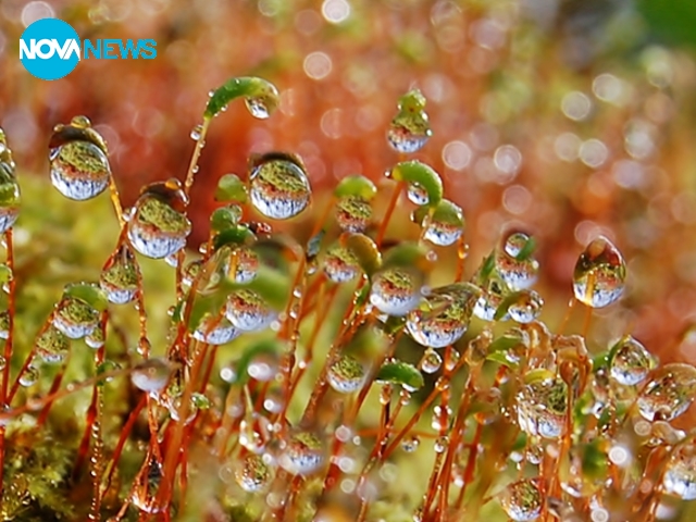 За прогнозата за времето