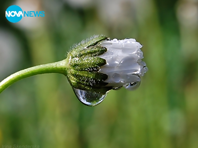 Прогноза за времето - 5