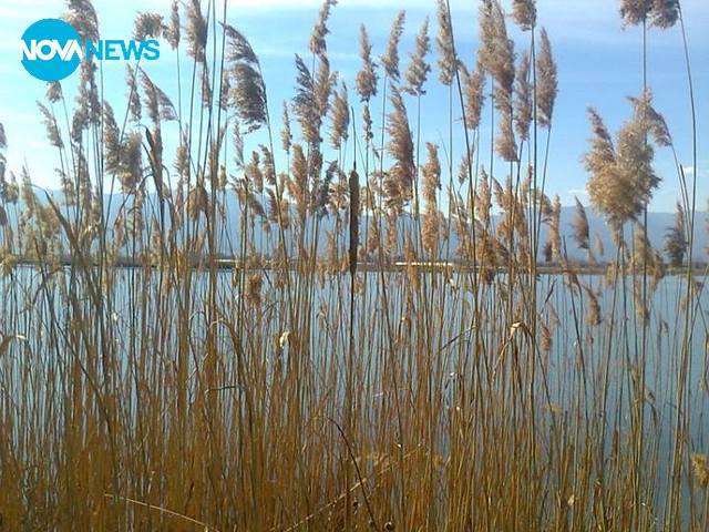Природата на с. Звъничево