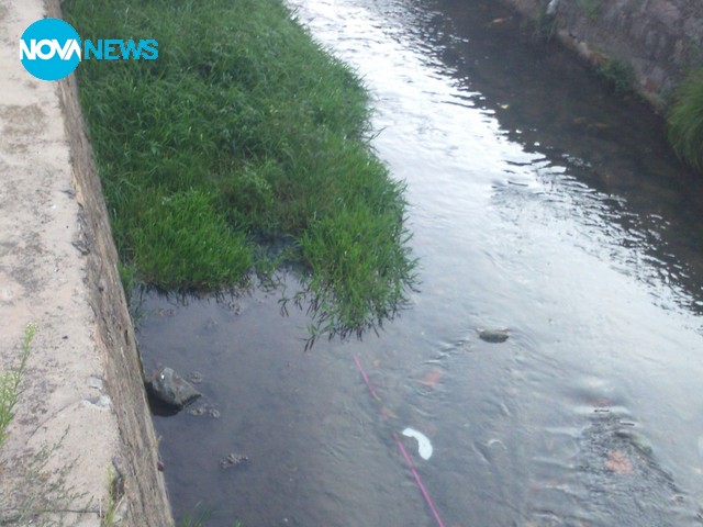 Затлачени реки