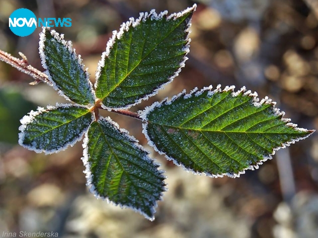 прогноза за времето - 4