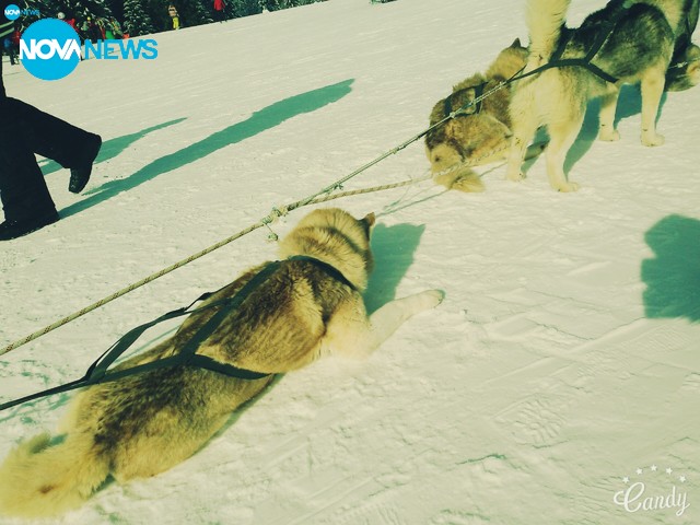 Зимни пейзажи