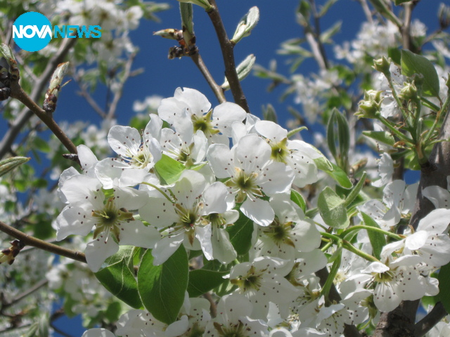 Априлска пролет