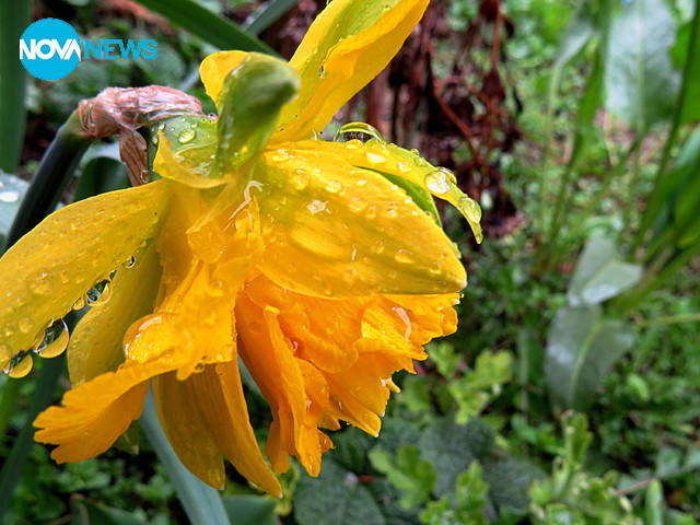 Дъждовен пролетен ден!