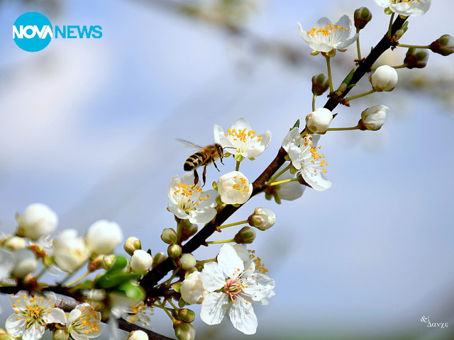 Пролетно ухание!