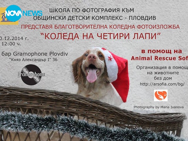 Благотворителна фото изложба ''Коледа на четири лапи''