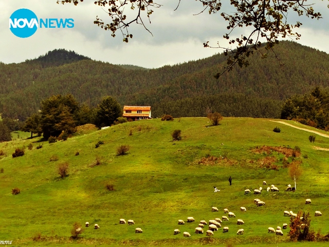 Красотата на природата