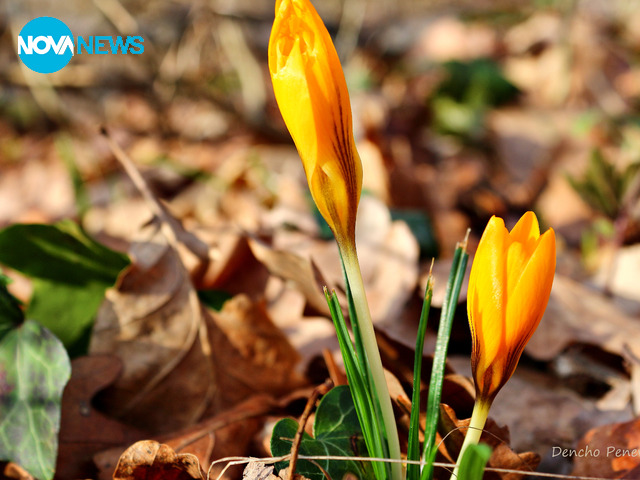 Прогноза за времето!