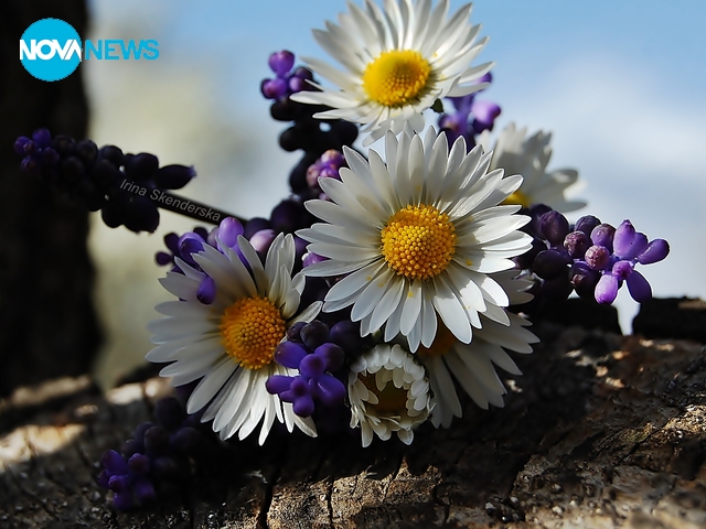 Глътка пролетна свежест