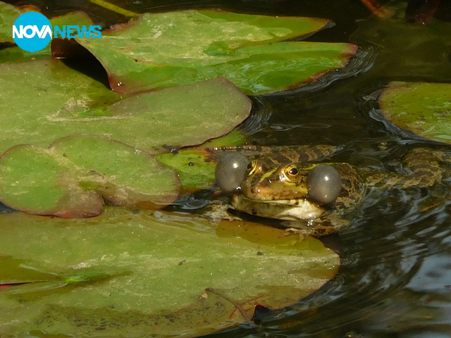 За прогнозата на времето