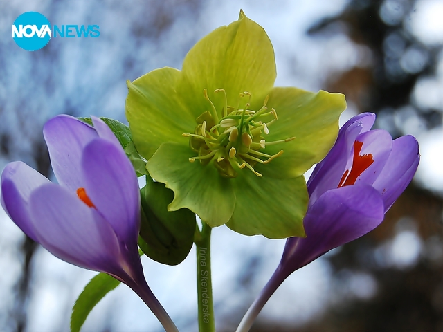 Честит празник, момичета!