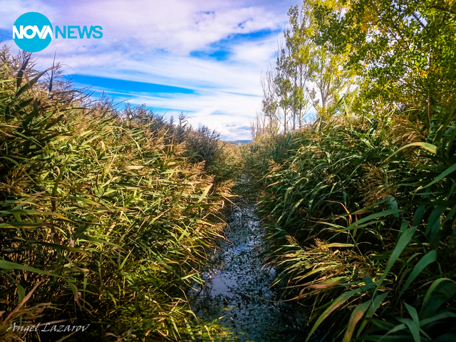 Снимка за прогнозата