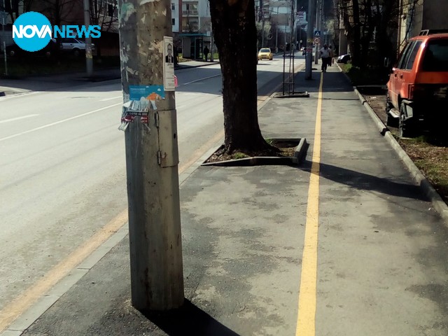 Екстравагантни велоалеи във Враца