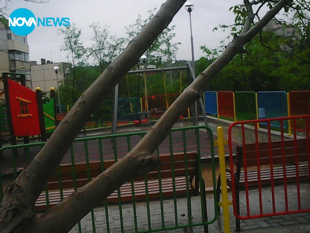 Полегнало дърво над детска площадка