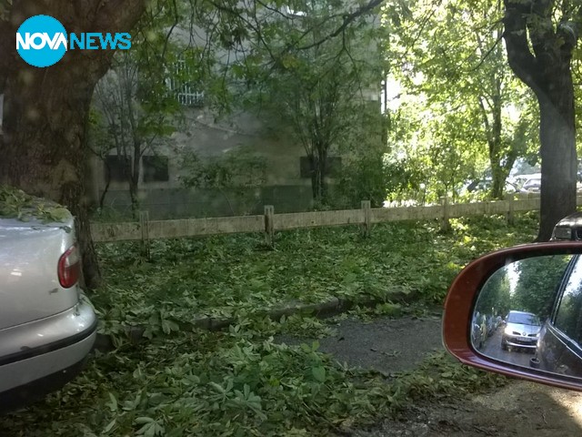 Природното бедствие