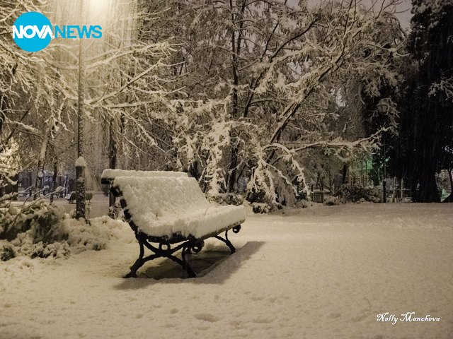 Бяла тишина