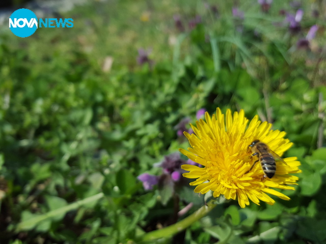 Чакаме те, пролет!