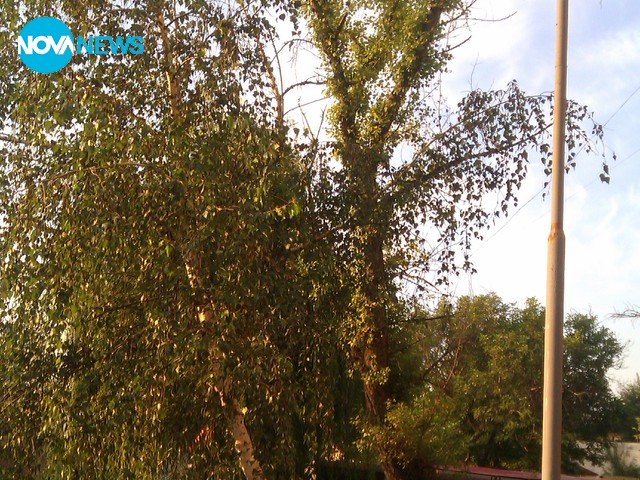 Грижовна община