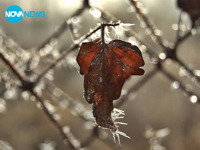 Заскрежено утро