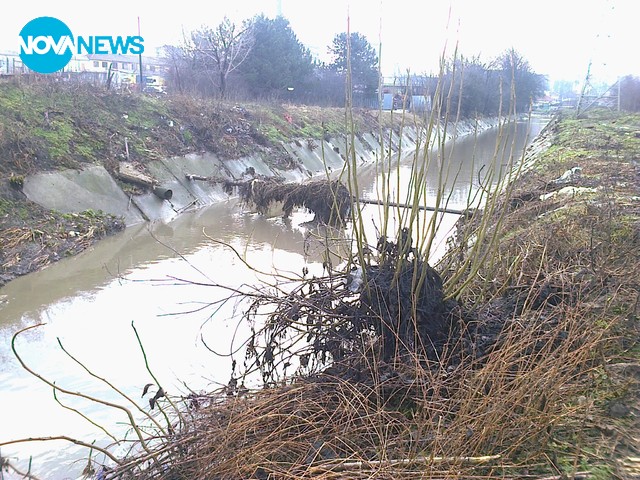 Така изглежда дерето на Добрич