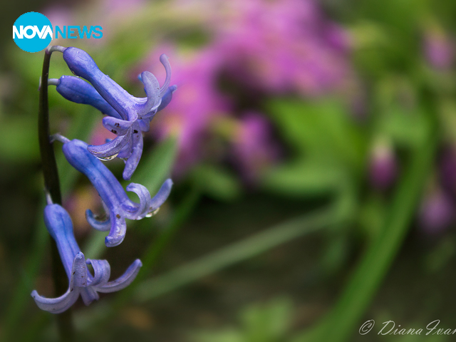 Дъждовен ден